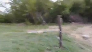 Видеотзыв Волгоградская обл. х.Двойневский
