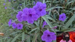 Муж, вместо ночной смены в такси, поехал к богатой любовнице. Но он не знал, что за ним следит жена