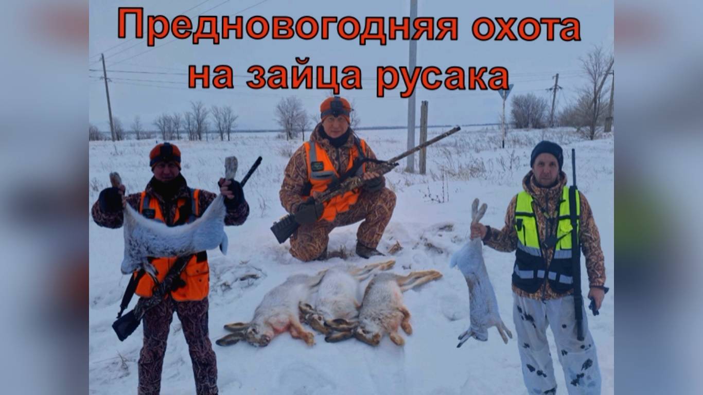 Предновогодняя охота на зайца русака!