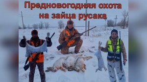Предновогодняя охота на зайца русака!
