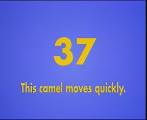 Gogo Loves English 37 - This camel moves quickly