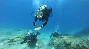 ГРИН БЭЙ ДАЙВИНГ НА КИПРЕ ПРОТАРАС
Green bay diving CYPRUS