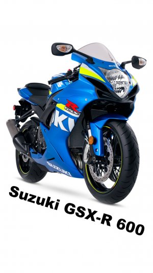 Suzuki GSX-R600 / Рейтинг среднекубатурных спортбайков для трека