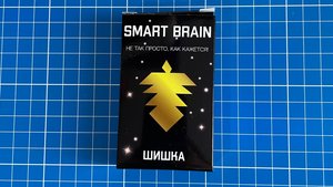 Smart  brain Шишка Сложи Шишку из 10 деталей