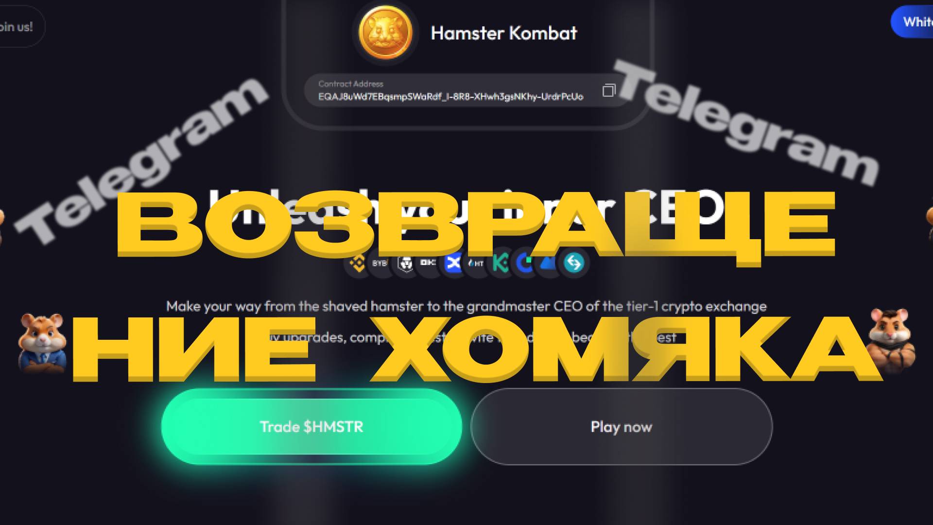 ⚠️ХОМЯК ВОЗВРАЩАЕТСЯ, Hamster Combat продолжение следует!!!