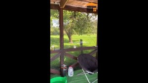 Myagkie.com клиенты о нас