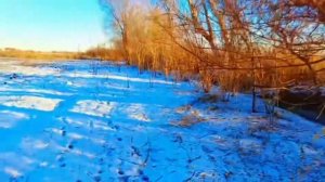 Длинная прогулка по лугу зимой