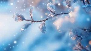 Гармония разума и сердца - Интересные жизненные истории