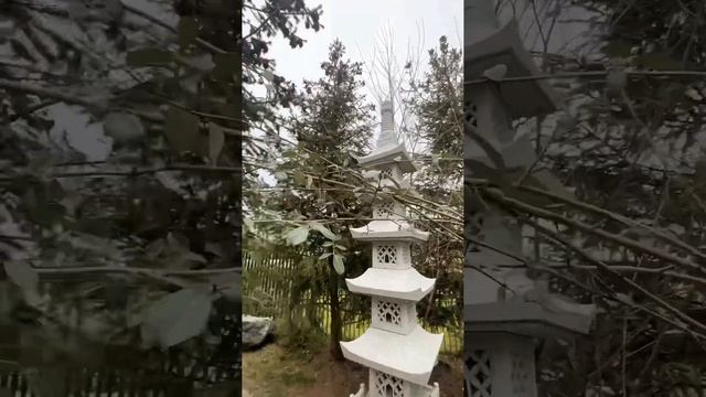 Японский сад, весна 2024 🫶🍙 #японскийсад #travel #путешествия