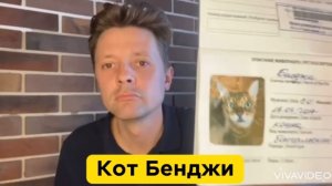 Кот Бенджи