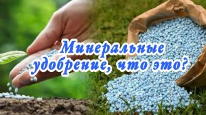 Минеральные удобрение, что это?