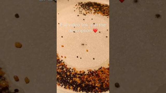 5 minutes Curry with few ingredients|#shortsfeed #shortvideo #shortsviral #shortfeed #shortsyoutube