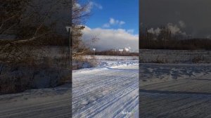 Кому и где быть, чтоб жить совсем хорошо?