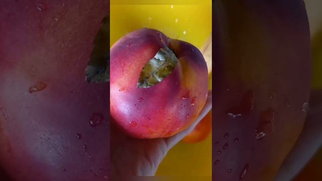 Nectarine