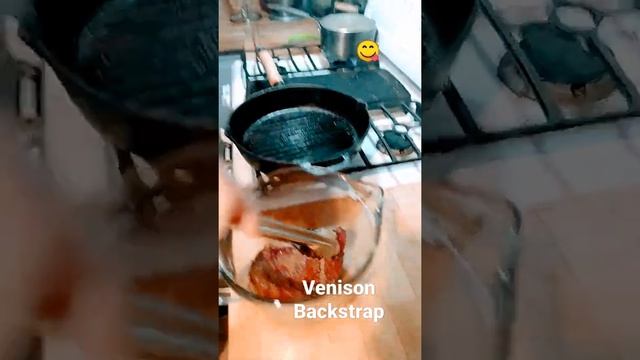 New Venison Rub #Shorts #Party смотреть онлайн