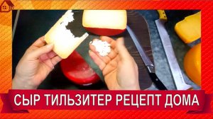 Сыр Тильзитер готовим дома. Полный рецепт и дегустация/ TILSITER RECIPE