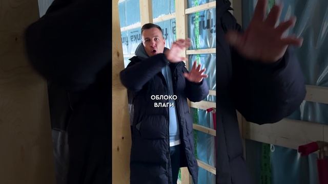 Из-за ЭТОГО у вас появится ПЛЕСЕНЬ на стенах! #плесень #дом
