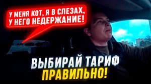 ПАССАЖИРКУ РАЗВЕЛИ МОШЕННИКИ / ЗАКАЗАЛ НЕ ТОТ ТАРИФ ДЛЯ КОТА / ТАКСУЮ В МОСКВЕ