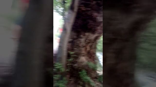 Серебряный Источник Колодезная вода возле минеральной. Кисловодск возле замка коварства