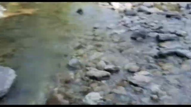 ПУТЕШЕСТВИЕ ПО РЕКЕ В АЮХАЗИИ(Махадыр)