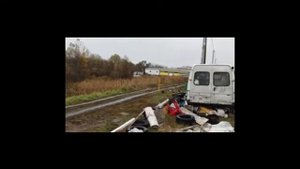 Гусь достал !