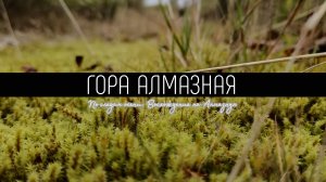 Алмазная осень: Восхождение по золотым тропам. Гора Алмазная, остров Сахалин. Пеший туризм.
