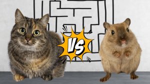 Кошка VS Хомяк: кто здесь босс? Невероятная гонка в лабиринте!