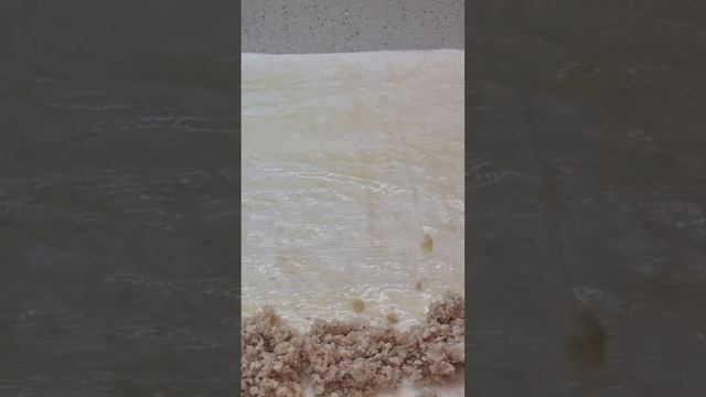 Легкие мясные рулеты со сметаной #тестофило #shorts #пирогисмясом смотреть онлайн