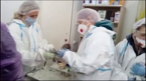 Спасение птиц в ялтинском зоопарке. Репортаж Сергея Сардыко