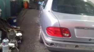 полный окрас в экстремальных условиях