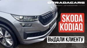 Skoda Kodiaq, 2024, в максимальной комплектации SportLine Plus II