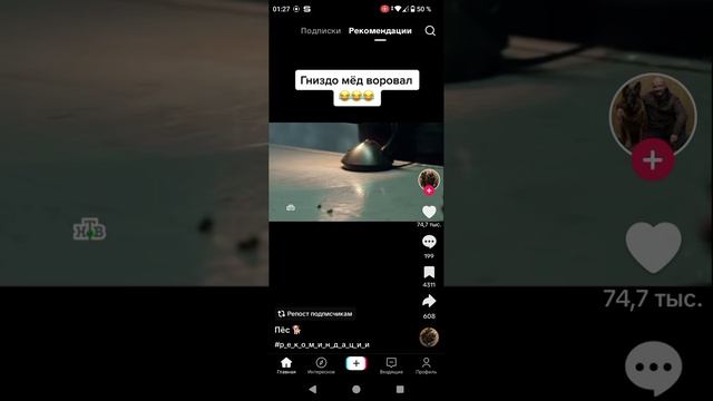 гнездо мёд воровал смотреть онлайн