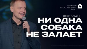 НИ ОДНА СОБАКА НЕ ЗАЛАЕТ/ОЛЕГ ИЛЬИН