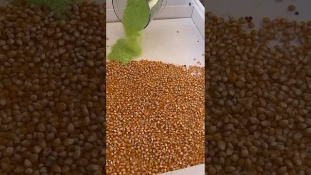 Это лучшее, чем вы можете занять ребенка! смотреть онлайн