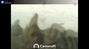 РЫБАЛКА БЕЛГОРОД ЗДЕСЬ РЫБЫ НЕТ ! 2.Зимняя рыбалка Белгород. Окунь и плотва.