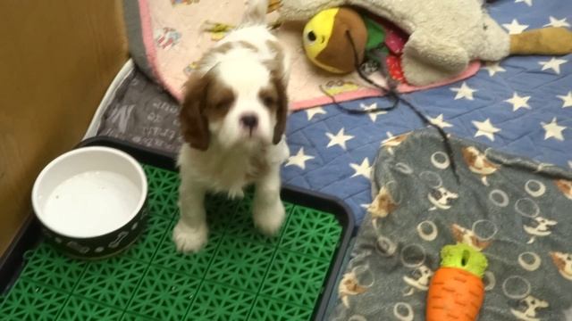 общие игры 2 смотреть онлайн