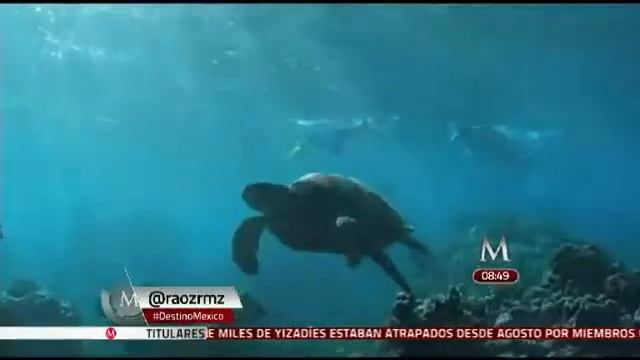 Destino: México - Los Cabos, BCS смотреть онлайн