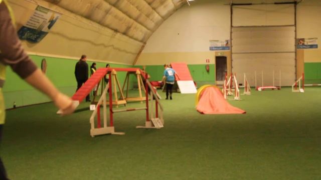 Martha & Sanni // Agility medi 1-lk siirto 2-lk // 3sija смотреть онлайн