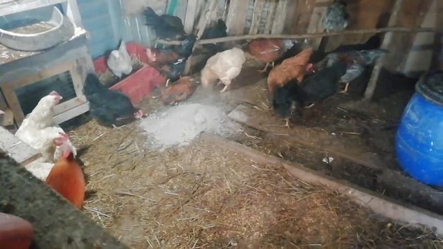 Почему Ютуб не прибавляет часы просмотра?Домашние дела/Хозяйство. смотреть онлайн