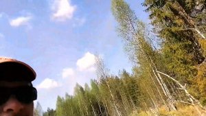 Блесна Томас Циклон 7 гр обставила все воблеры по форели.