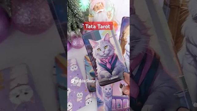 Вам послание свыше... ❤️ #эзотерика #tarot #обряды #таро #минск #гадание #тароонлайн