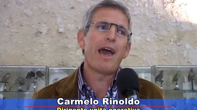 SICILIA TV (Favara) Festa dell'olio a Favara смотреть онлайн