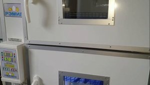 ИТОГИ ВЫВОДА В ИНКУБАТОРЕ РЕМИЛ