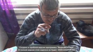 Подготовка грунта для посева семян табака