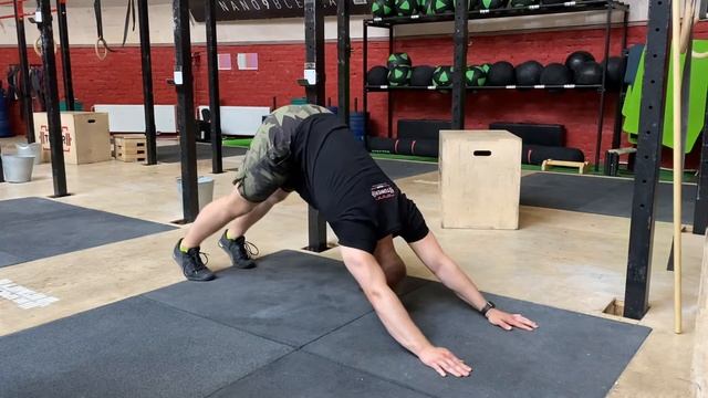 Собака мордой вверхмордой вниз