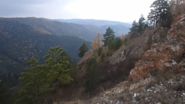 В поисках "Торгашинского кота" смотреть онлайн