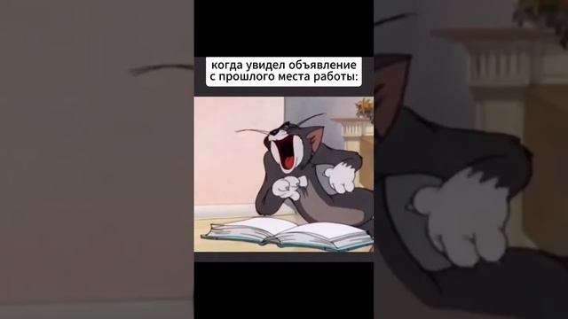 Прошлое место работы