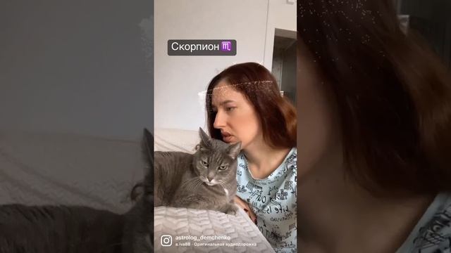 Скорпион ♏️