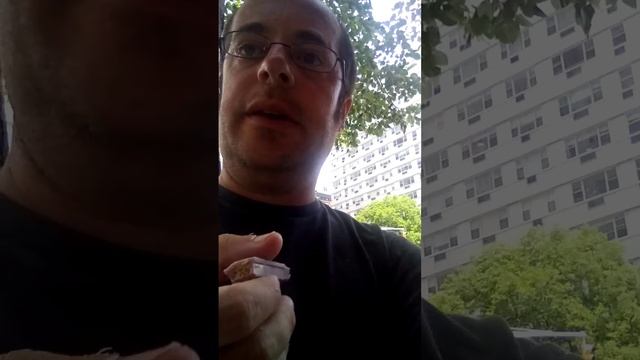 Blueberry Muffin Flavored Kit Kat Taste Testing Review смотреть онлайн