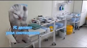как я заболела🐱 первая тире десятая часть 1 сезона